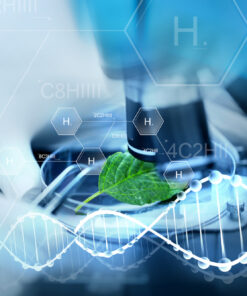 Естественные науки (биология)