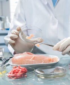 Пищевая промышленность