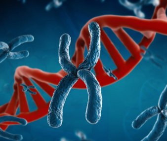 Цитогенетика