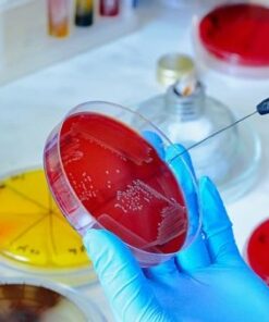 Микробиология