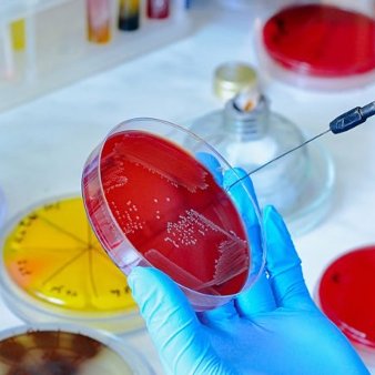 Микробиология