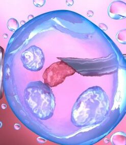 Лаборатория ЭКО