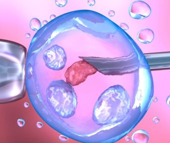 Лаборатория ЭКО