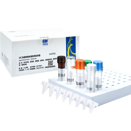 Rapid Detection Kit (Loop-mediated isothermal amplification & PCR Test Kit). Набор для экспресс-детекции (тест-набор для LAMP и ПЦР)