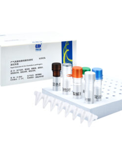 Alternative view of Rapid Detection Kit (Loop-mediated isothermal amplification & PCR Test Kit). Набор для экспресс-детекции (тест-набор для LAMP и ПЦР)