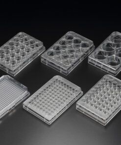 Планшеты для клеточных культур SPL Life Sciences