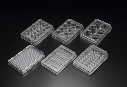 Планшеты для клеточных культур SPL Life Sciences