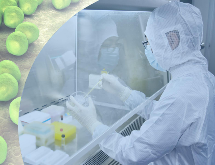 HKM Dehydrated Culture Media. Сухие культуральные среды