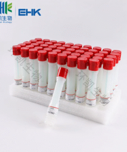 Alternative view of Collecting & Transportation Swab: Тампоны для сбора и транспортировки